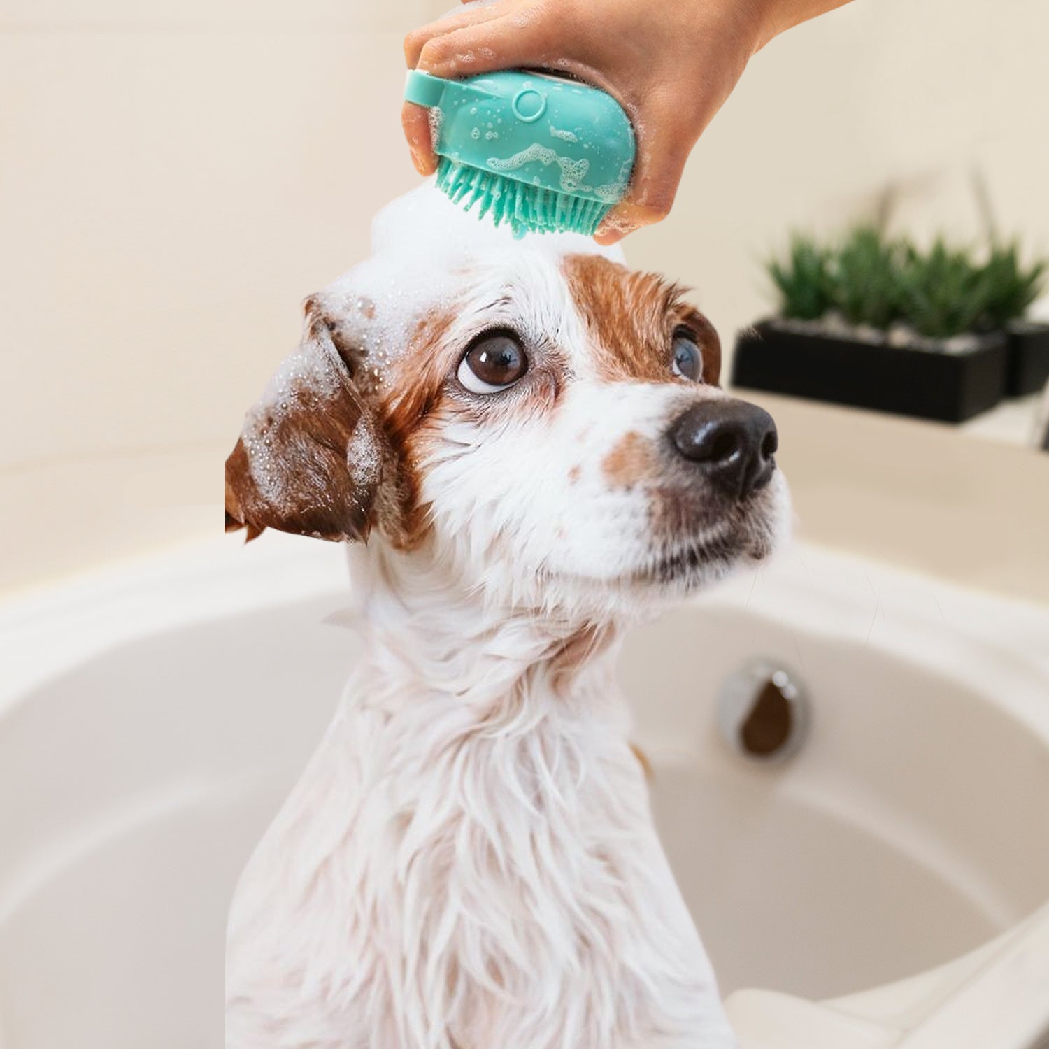 Soft Dog Cat Pet Bath Scrubber Massager Brush with Shampoo dispenser