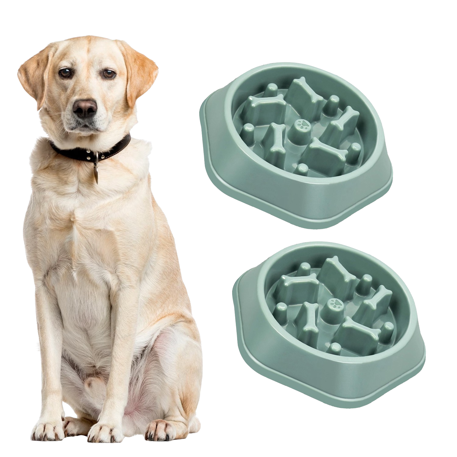 Anti-Choking Slow Feeder Puzzle Design Dog Food Treats Bowl Dish For Small Medium Dogs