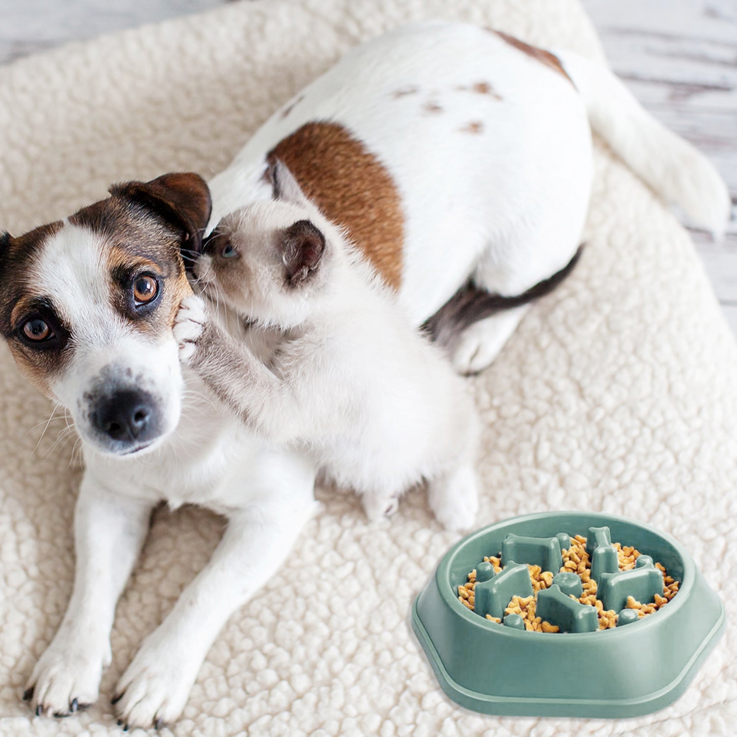Anti-Choking Slow Feeder Puzzle Design Dog Food Treats Bowl Dish For Small Medium Dogs